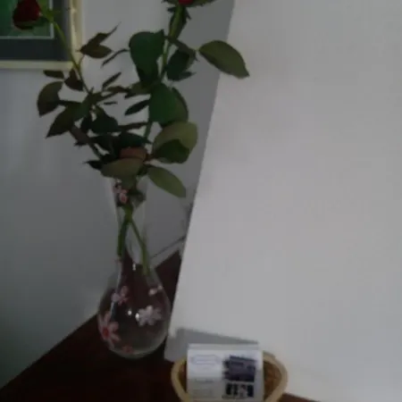 度假居 Vivenda Azul