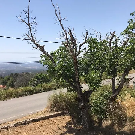 Vivenda Azul 度假居