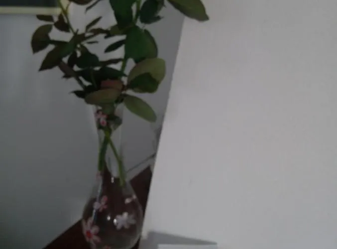 Semesterbostad Vivenda Azul